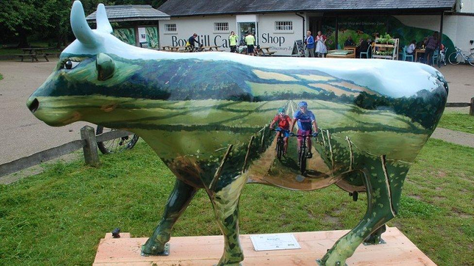 Box Hill painted cow stolen from 2012 Olympics cycling route - BBC