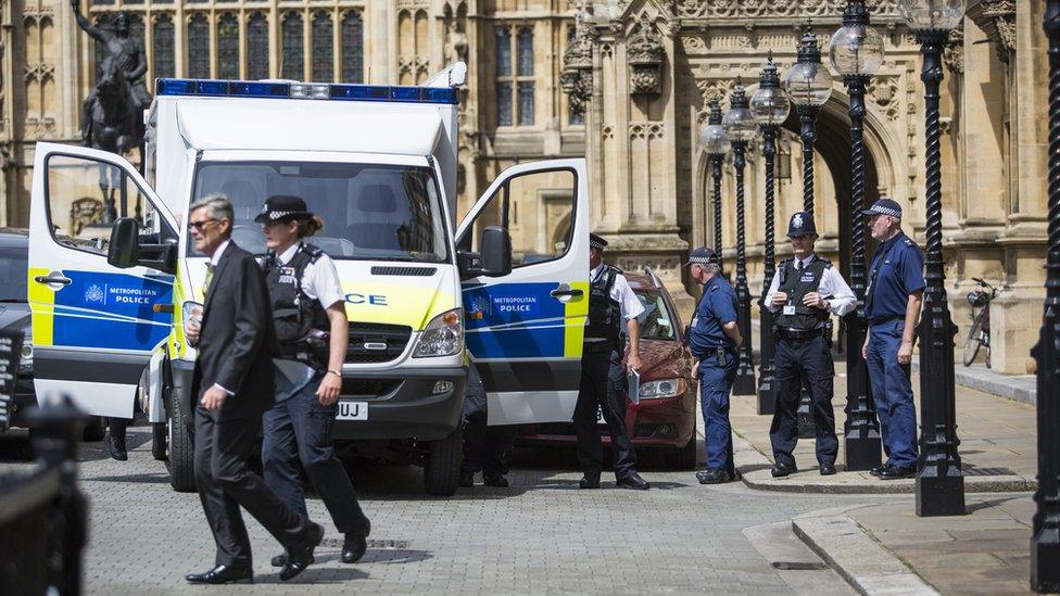 Police outside the Palace of Westminster