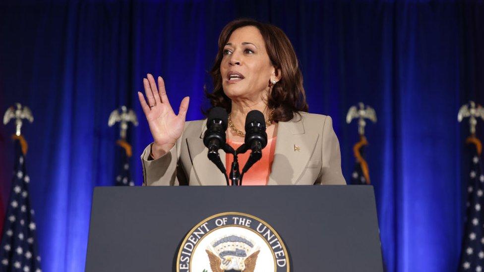 vice president kamala harris speaking