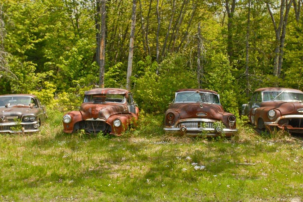 Old rusting cars