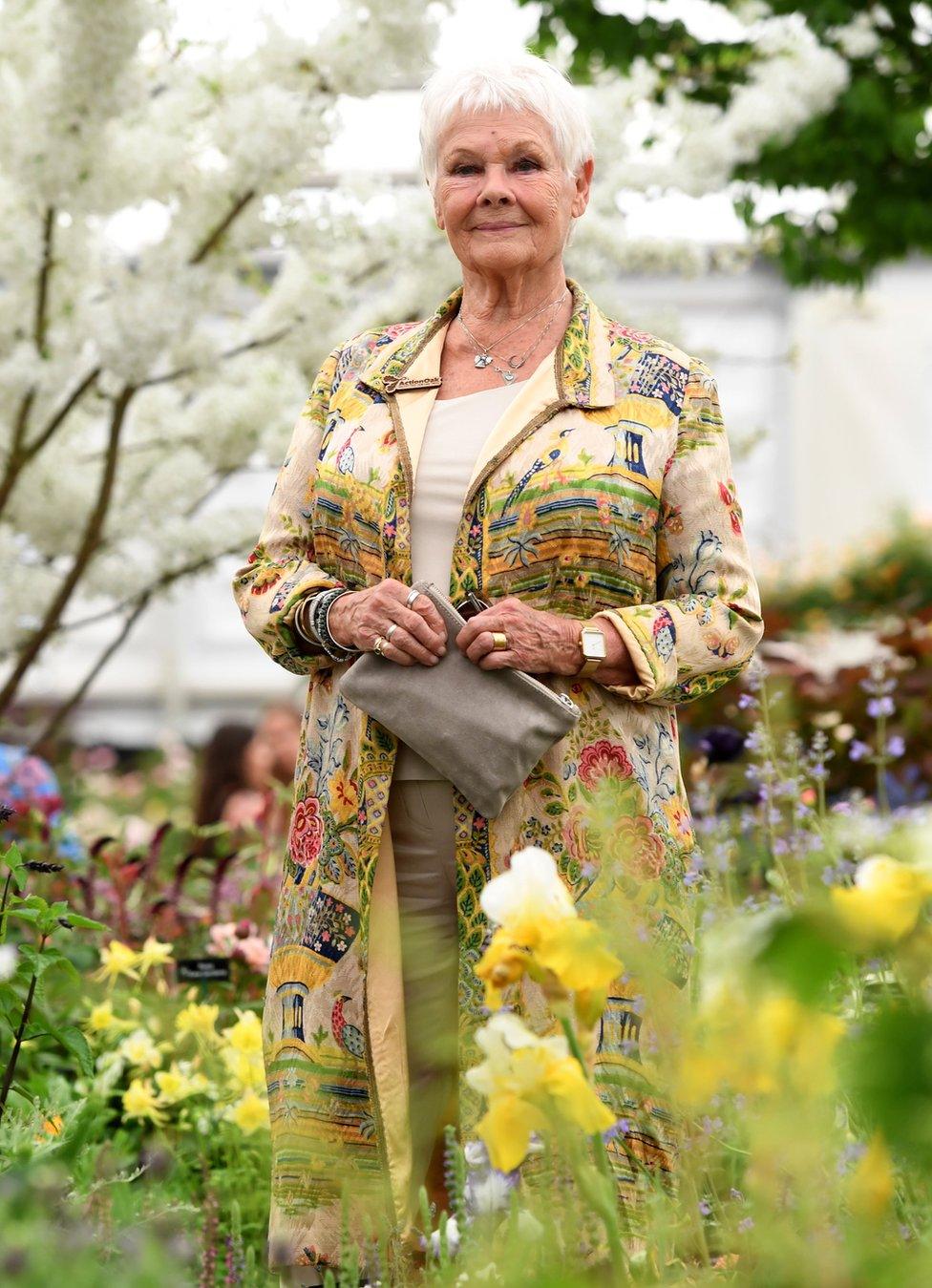 Judi Dench at Chelsea Flower Show