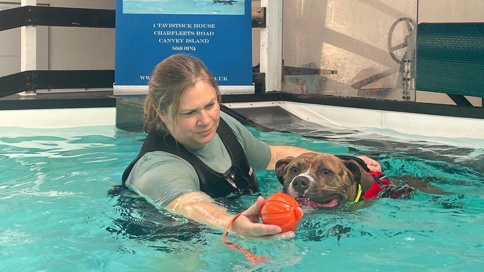 Winnie at the hydrotherapy pool