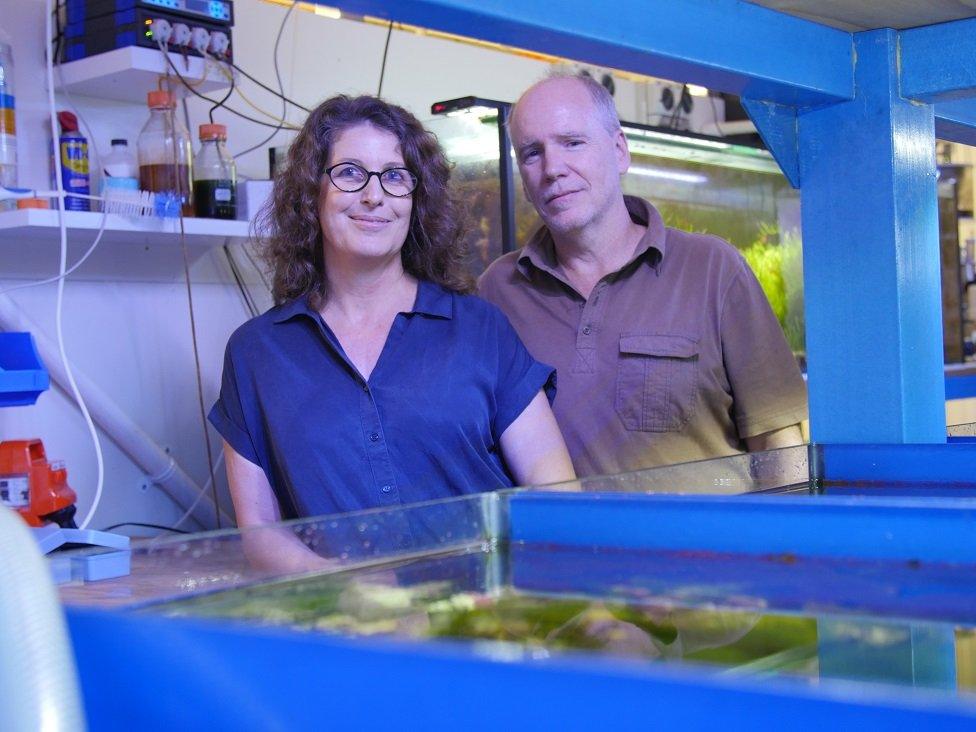 Husband-and-wife researchers Associate Prof Sandie Degnan and Prof Bernard Degnan