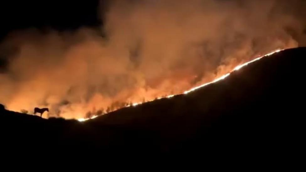 Horse silhouetted by the fire on Machen mountain