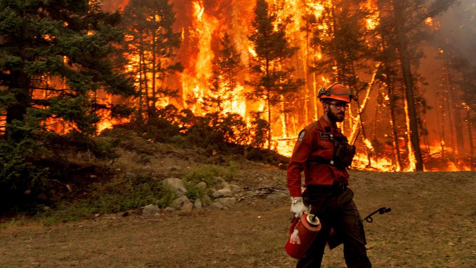 The Ross Moore Lake wildfire in Kamloops, British Columbia, Canada on 28 July 2023, amidst soaring temperatures and drought