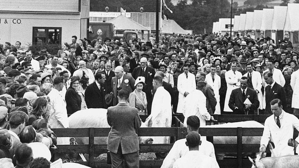 Princess Elizabeth and Prince Philip, the Duke of Edinburgh, touring through the grounds of the Royal Show surrounded by visitors, farmers and pigs, Shrewsbury, England, July 7th 1949.