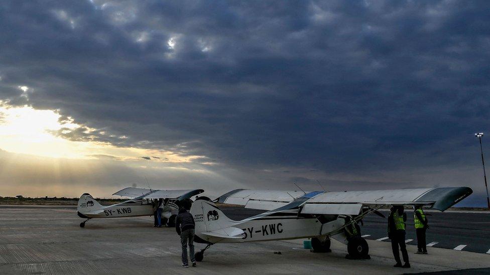 National Wildlife Census planes