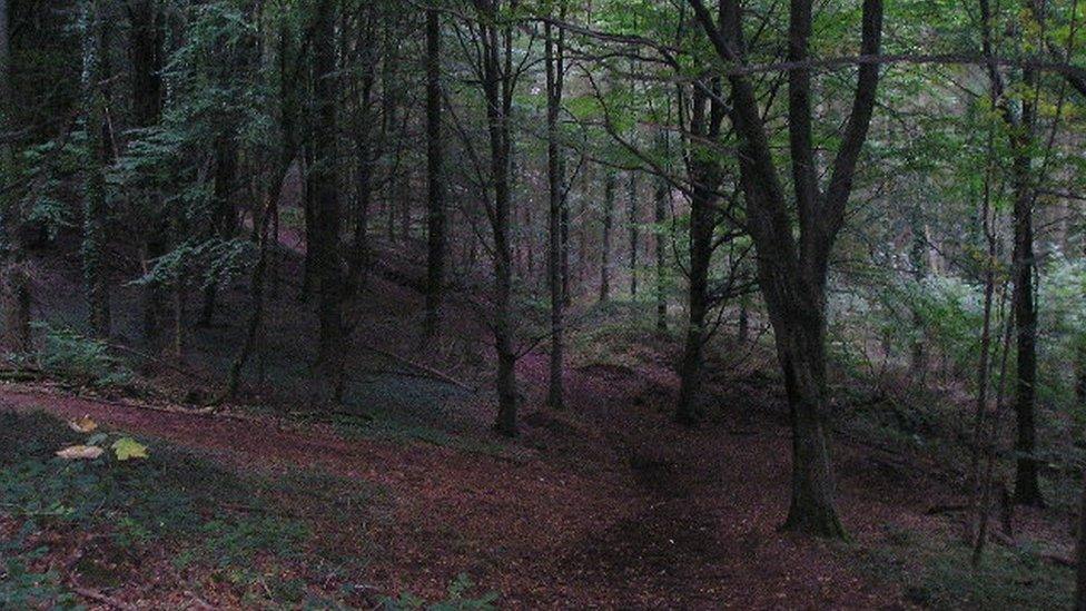 Forest Fawr