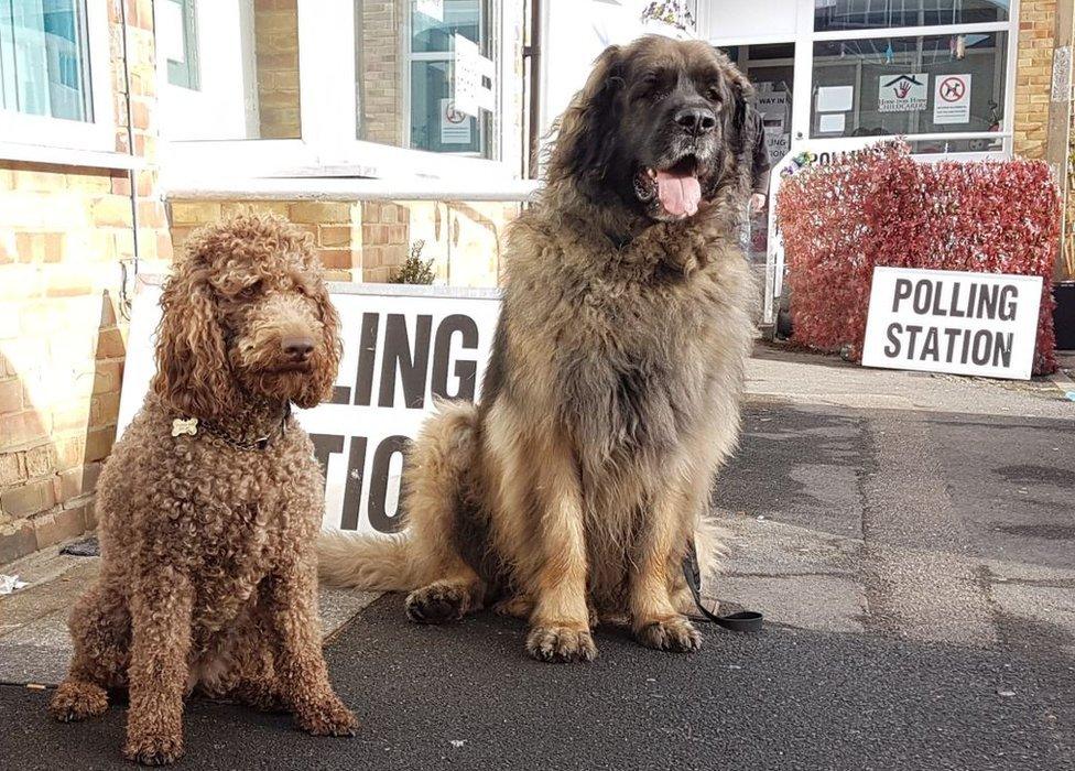 Hermione and Hagrid