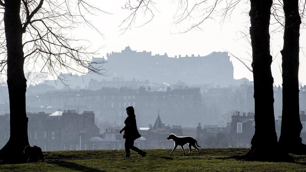 A woman walking her dogs in Inverleith Park, Edinburgh