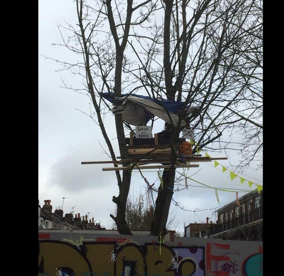 Treehouse in one of the maple trees