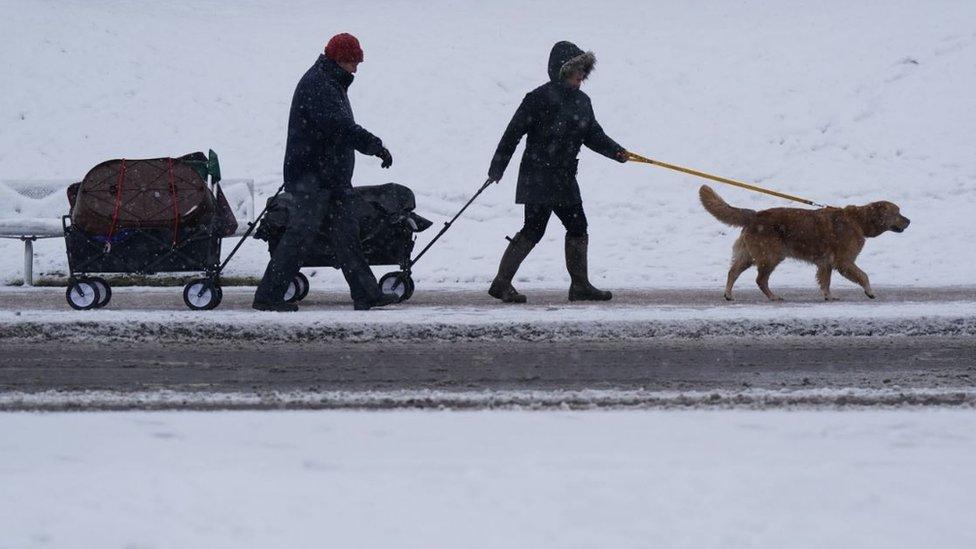 Dog owners battling through snow to get to Crufts