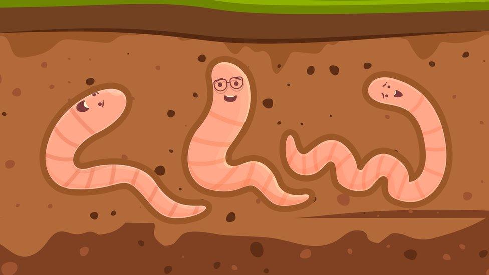 Graphic of worms talking underground