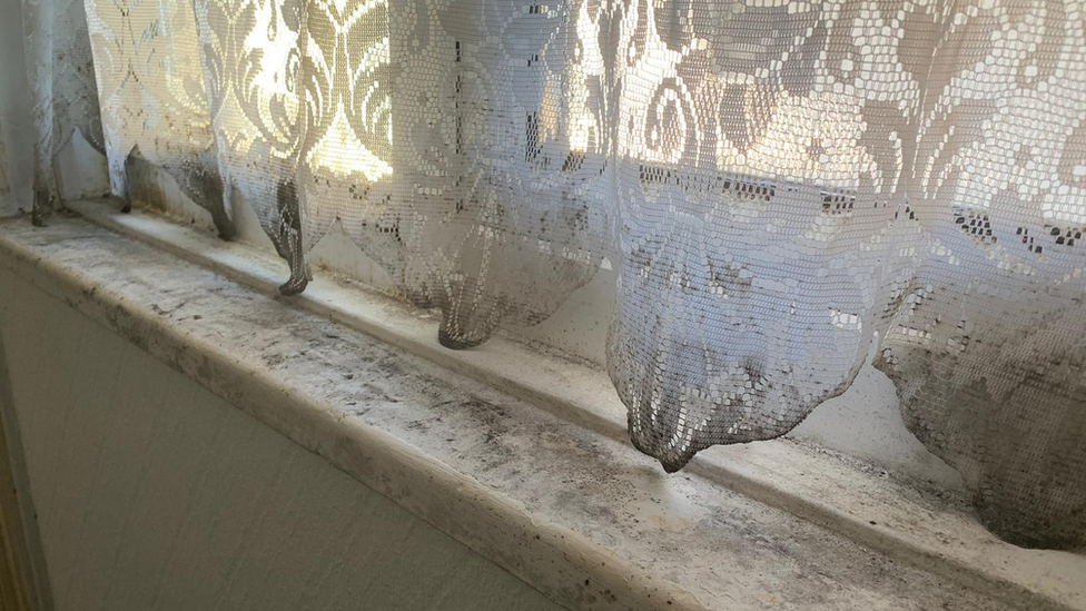 Mould on window