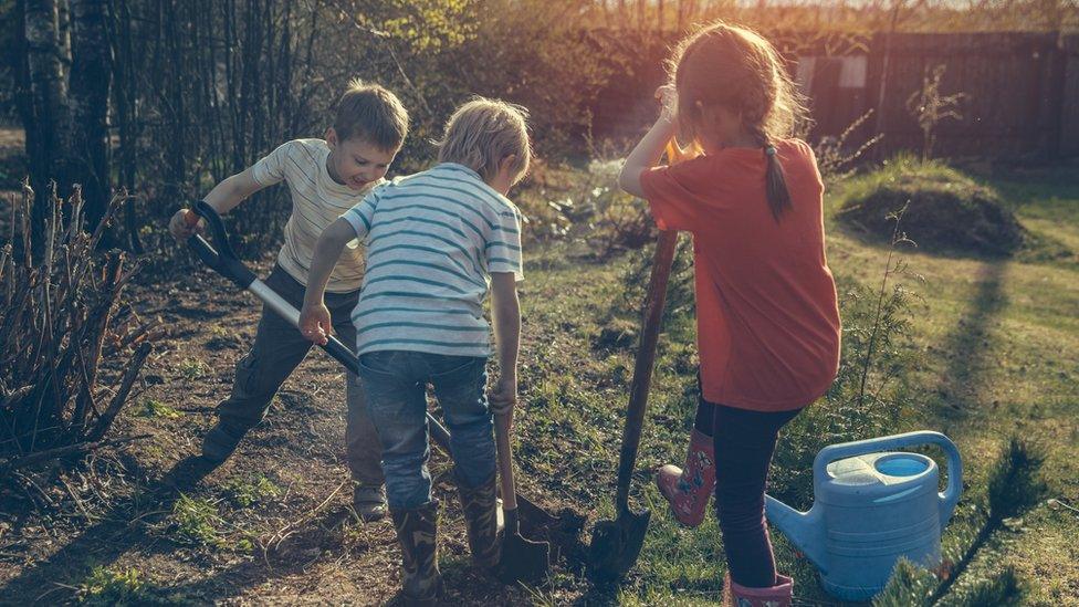 children-planting-trees