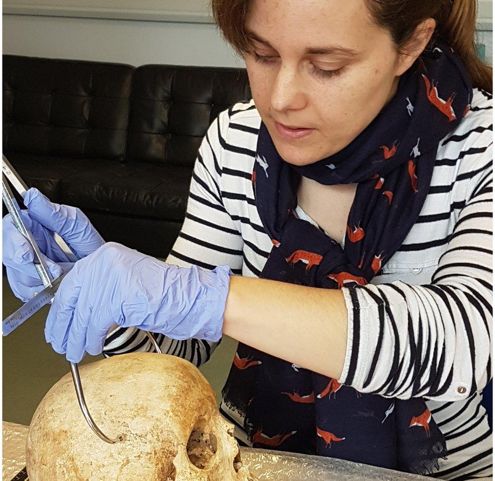 scientist examining skull