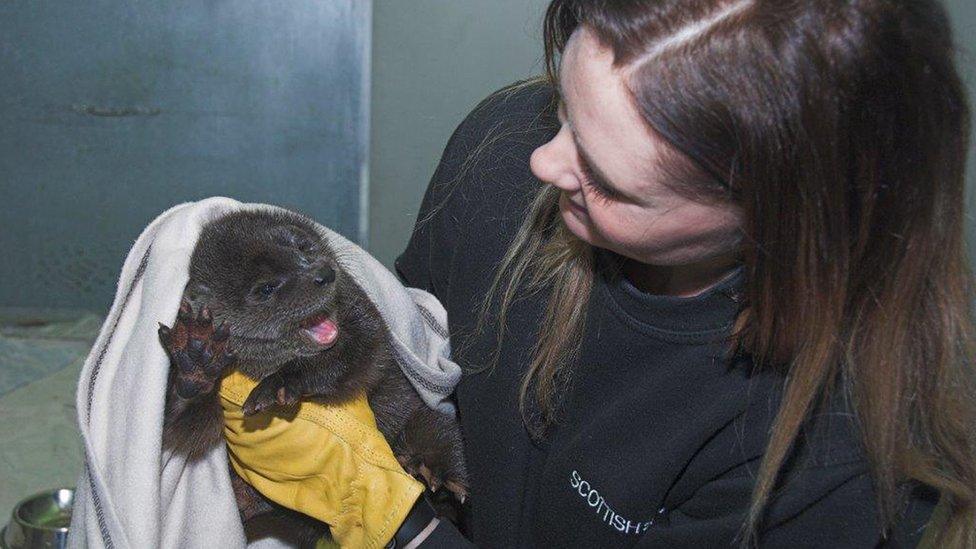 Lady with a seal