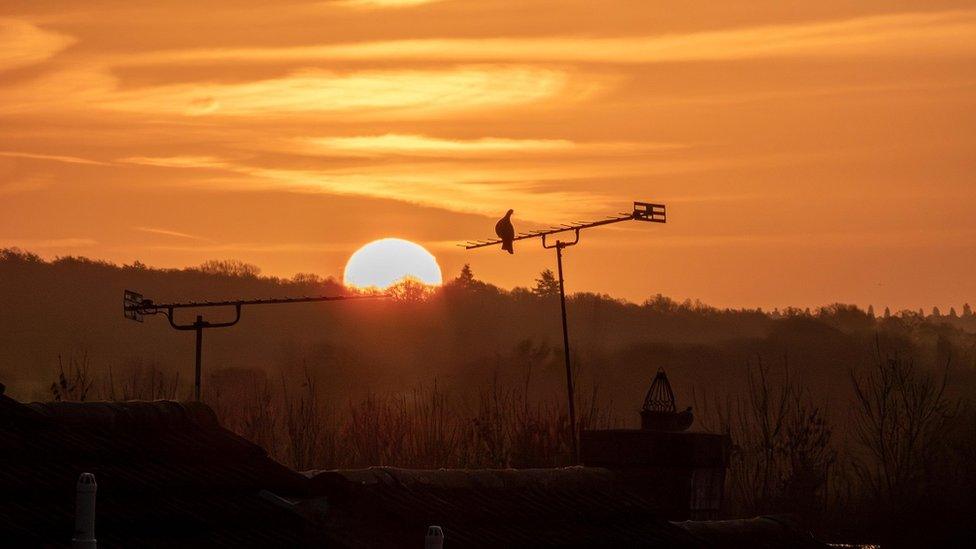 FRIDAY - Sunrise over Lower Earley