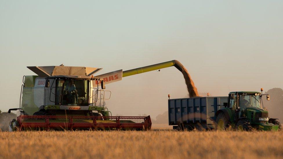 Combine harvester and truck