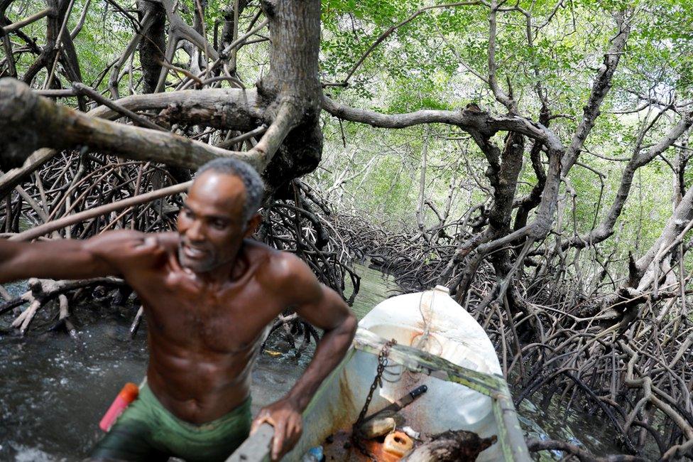 Fisherman Jose da Cruz on his boat in a mangrove forest