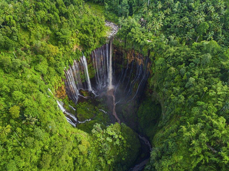 An aerial view of a forest with a waterfall