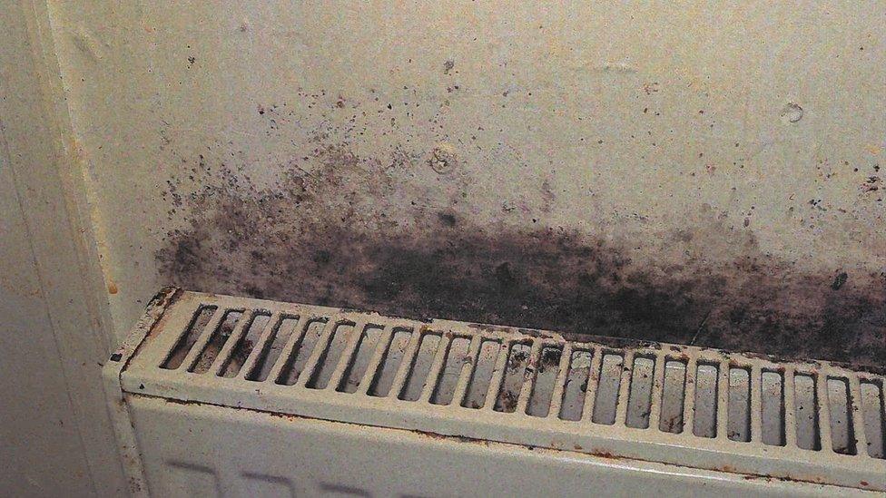 Black mould behind a radiator in a room of a property