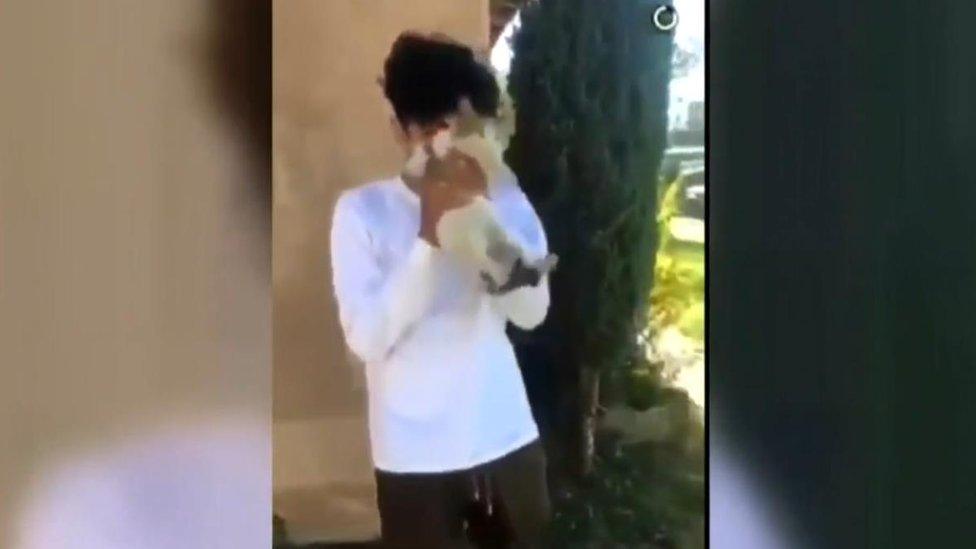 Boy in white shirt holds cat before throwing it.