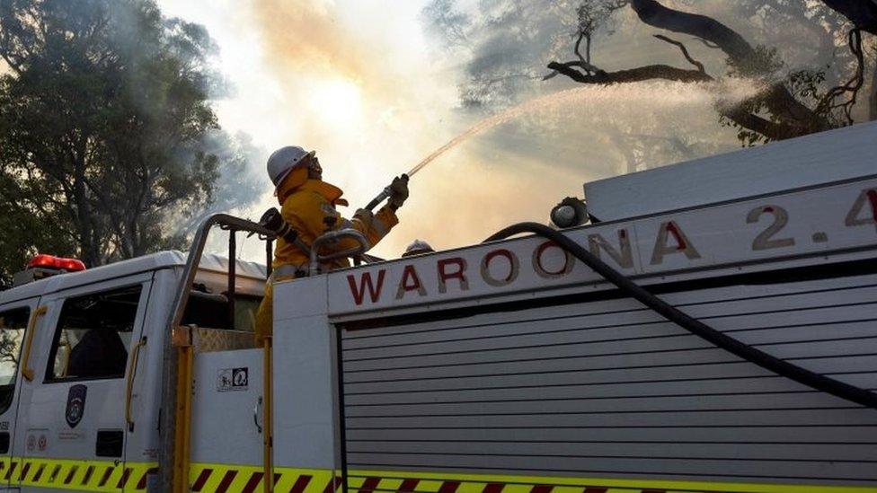 Firefighters tackle the Warooma fire (7 Jan 2016)