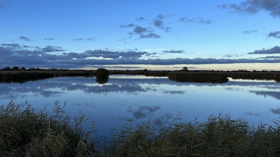 SATURDAY - RSPB Otmoor