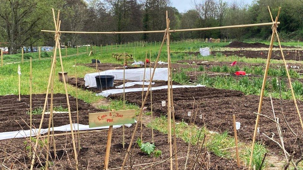 An allotment plot featuring a sign reading Emma and Joe's plot