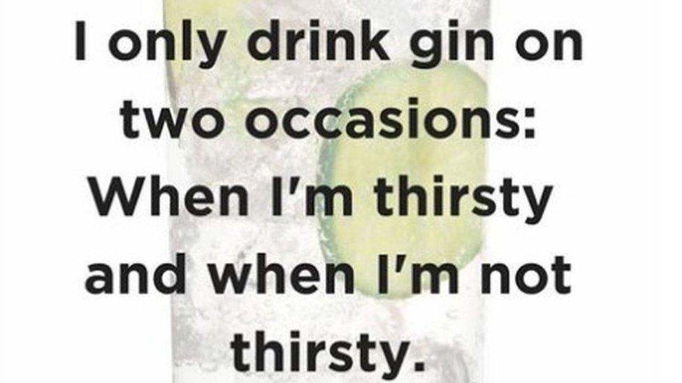 Screen grab of Scottish Gin Society Facebook page