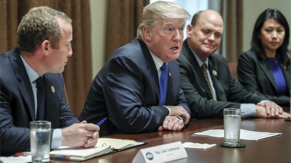 US President Donald J. Trump meets with a bipartisan group of congress on tax reform