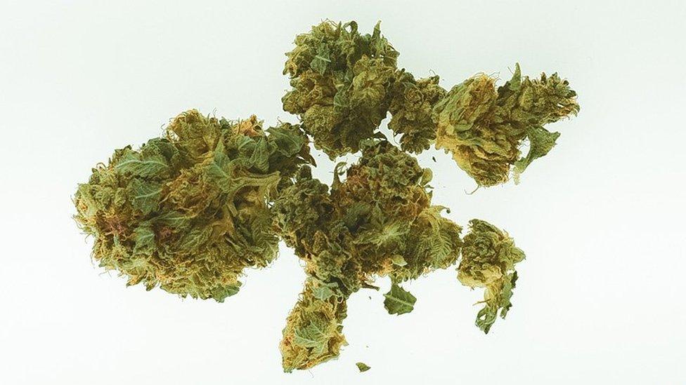 Cannabis image