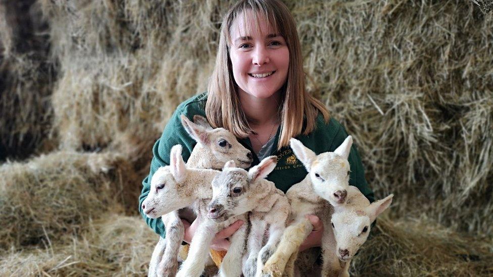 Farmer with lambs