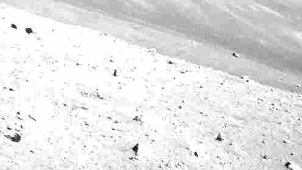 A very bright black and white image of the lunar surface, taken by Slim