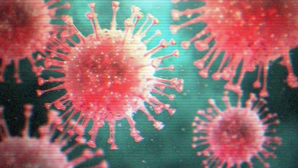 Coronavirus image