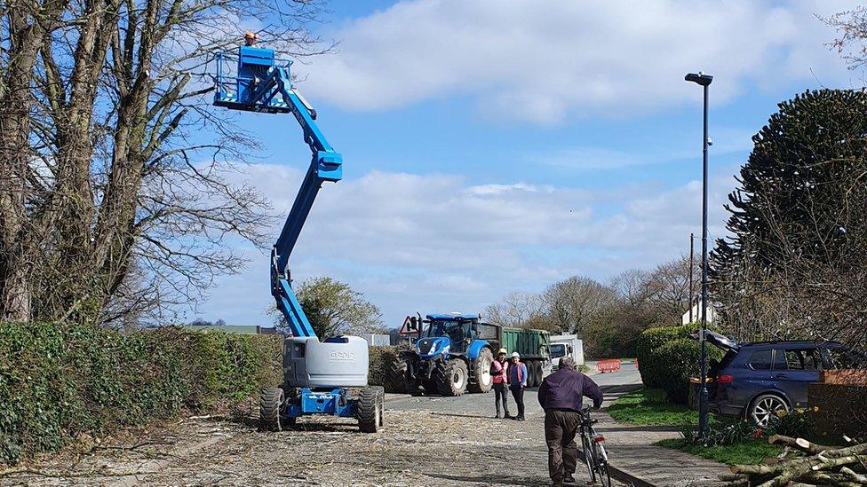 The cherry-picker cutting the trees in Church Fenton