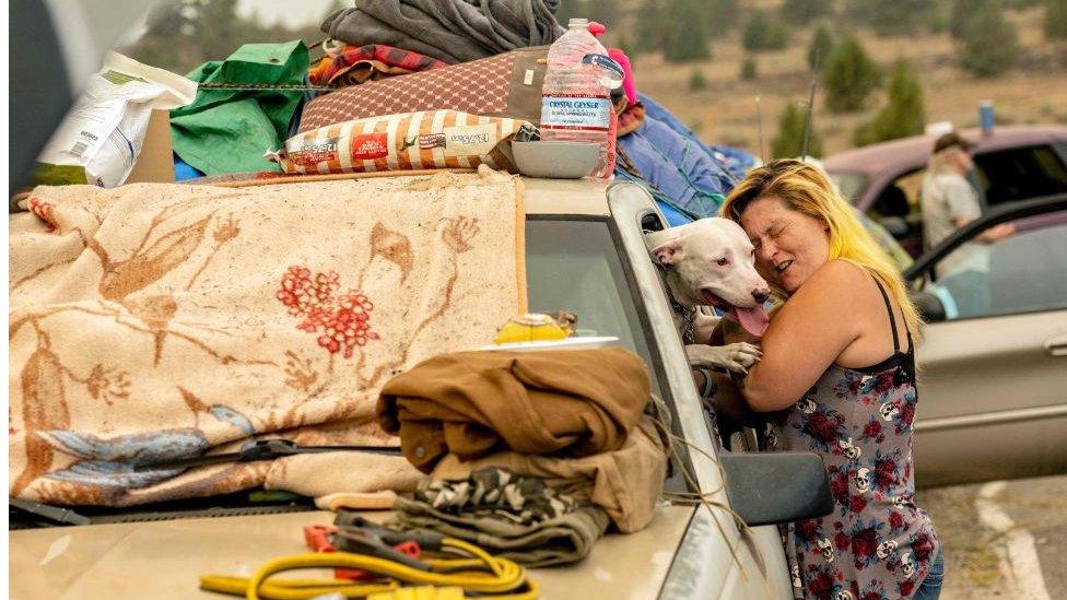 lady-and-dog-living-in-car