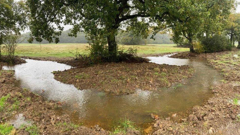 Re-meandering the River Frome at Canwood Farm