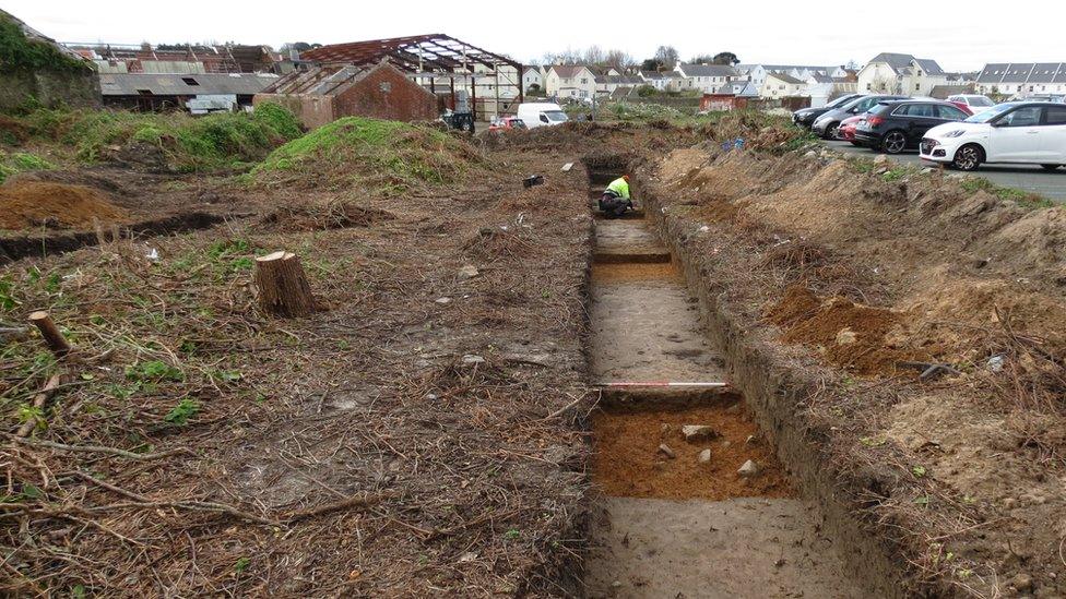 The dig site at Leale's Yard