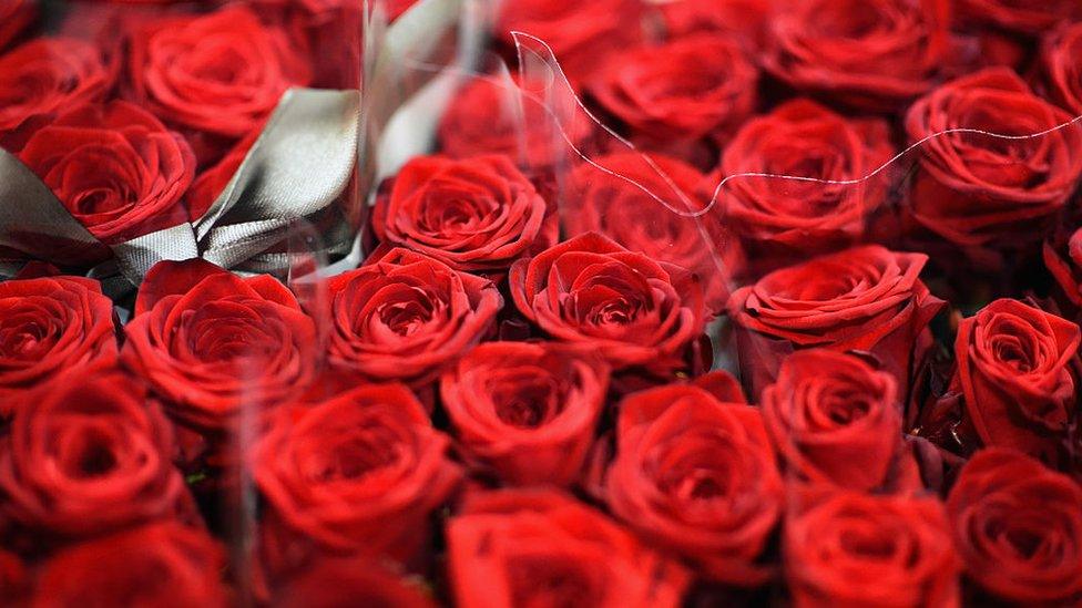 Roses at a flower shop ahead of Valentines Day