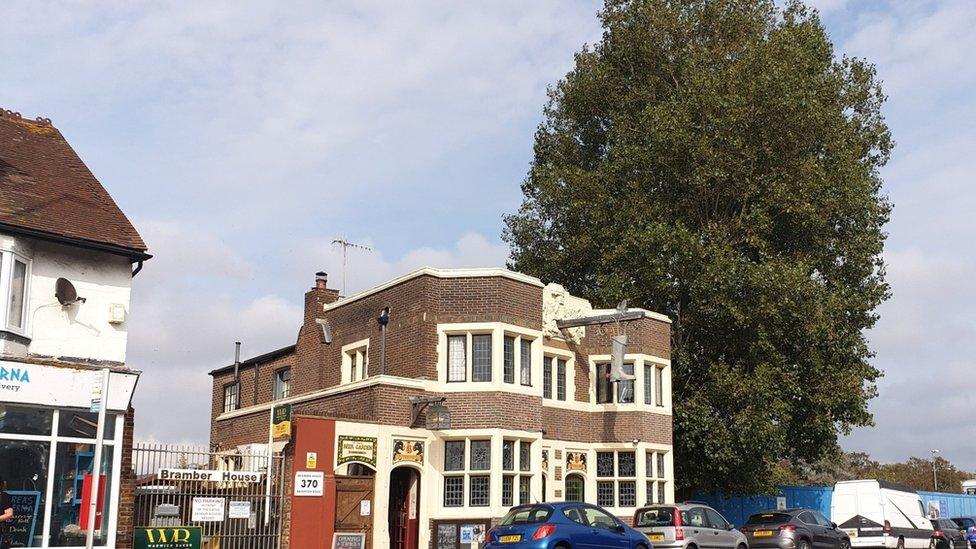 Grey Poplar tree next to the Duke of Wellington Pub, Shoreham-by-Sea, West Sussex