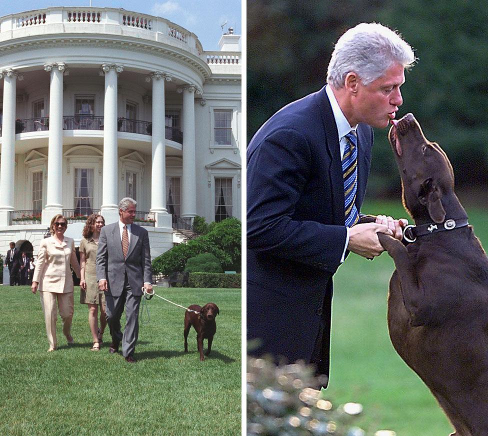 Split image showing the Clinton family with Buddy the dog