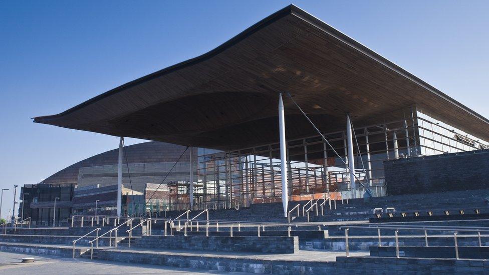 Y Senedd, Bae Caerdydd