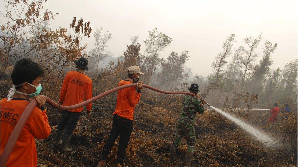 Firefighters in Indonesia