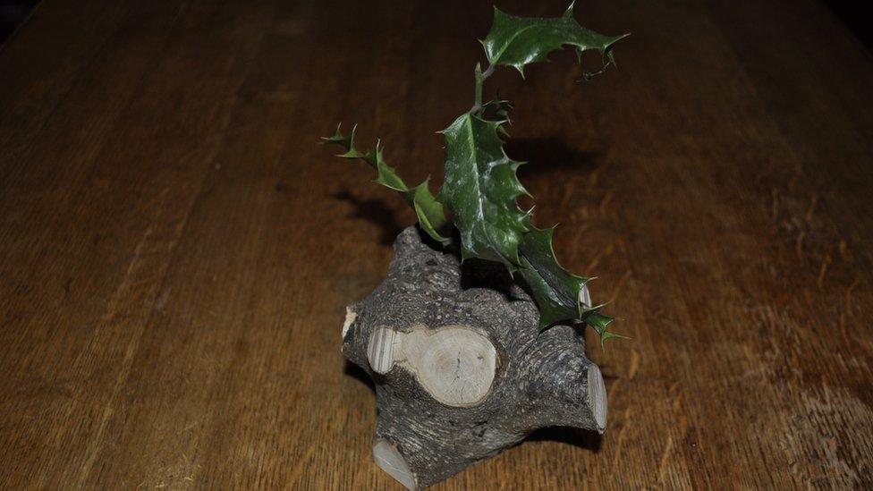 Holly on a piece of wood