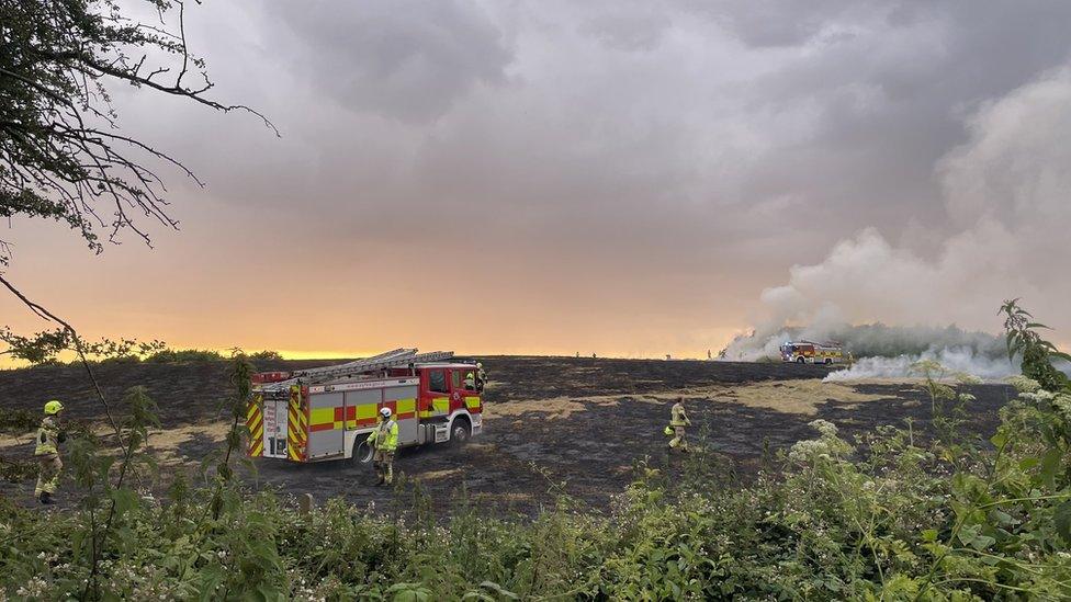 A fire broke out in a field in Sunnyside, Rotherham, on 5 July