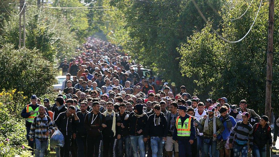 Migrants cross from Hungary into Austria on route to northern Europe, September 2015