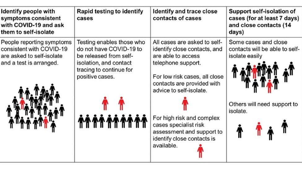 graphic showing summary of how test and protect will work