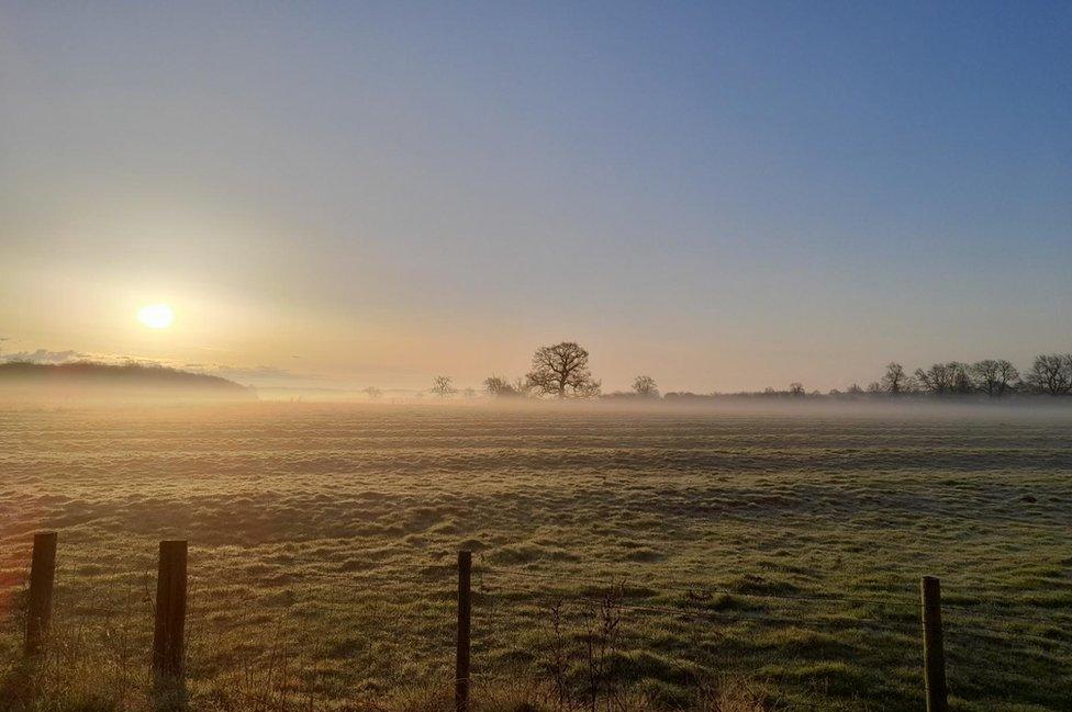 Fog in Exton